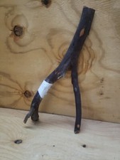 17.5" Red Manzanita branch 202 Rough Cuts