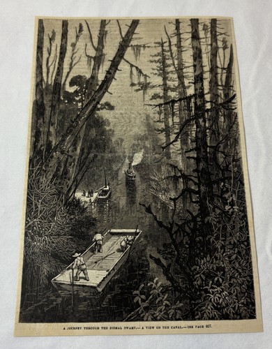 1881 magazine engraving~ VIEW ON THE CANAL IN THE DISMAL SWAMP