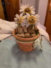 Boyds Bears Whoops A Daisy 930005 Tout est à venir marguerites pot de printemps