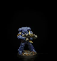Pro Painted Warhammer 40k primaris Space Marine Ultramarine Intercessor