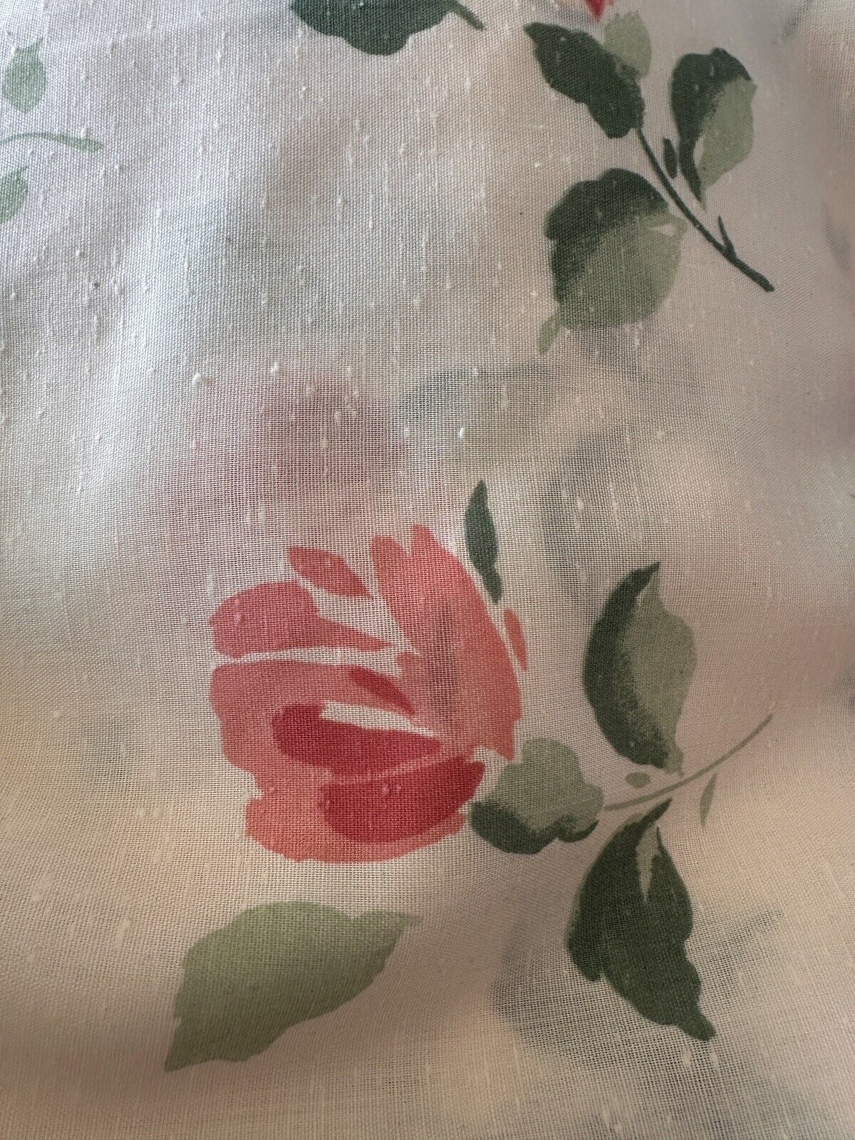 Picture 4 of 4