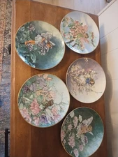5 Piece. VILLEROY & BOCH Heinrich Germany Flower Fairies Collectible Plates 8"