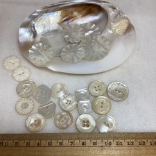 24 Antique Mother Of Pearl Buttons + Shell #135