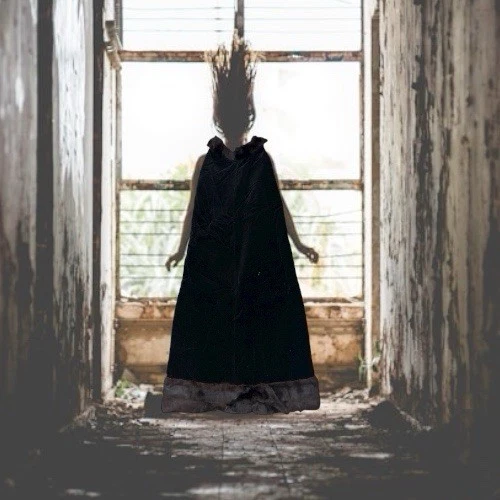 Vintage Gothic Black Velvet Maxi Cape With Full Trim Fur And Pink Lining XL - Image 3 of 4