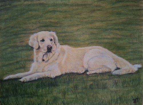 Original Pet/ Dog Animal Portraits From Your Photo Made To Order Oil Paintings - Picture 2 of 6