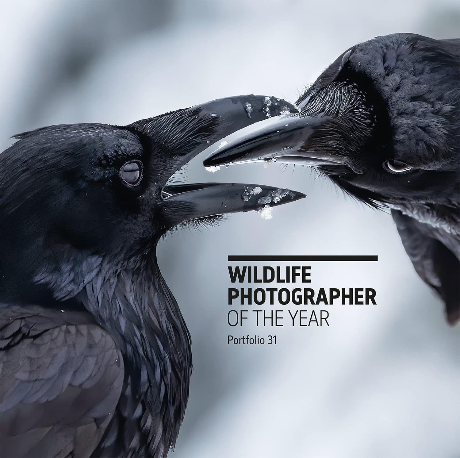 Wildlife Photographer of the Year: Portfolio 31 [hardcover] Rosamund Kidman Cox,