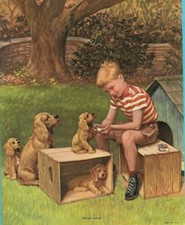 J. Clymer Boy Cockers Bandage Doghouse Crates 9.75"x7.75" Print 1940s FREE SHIP