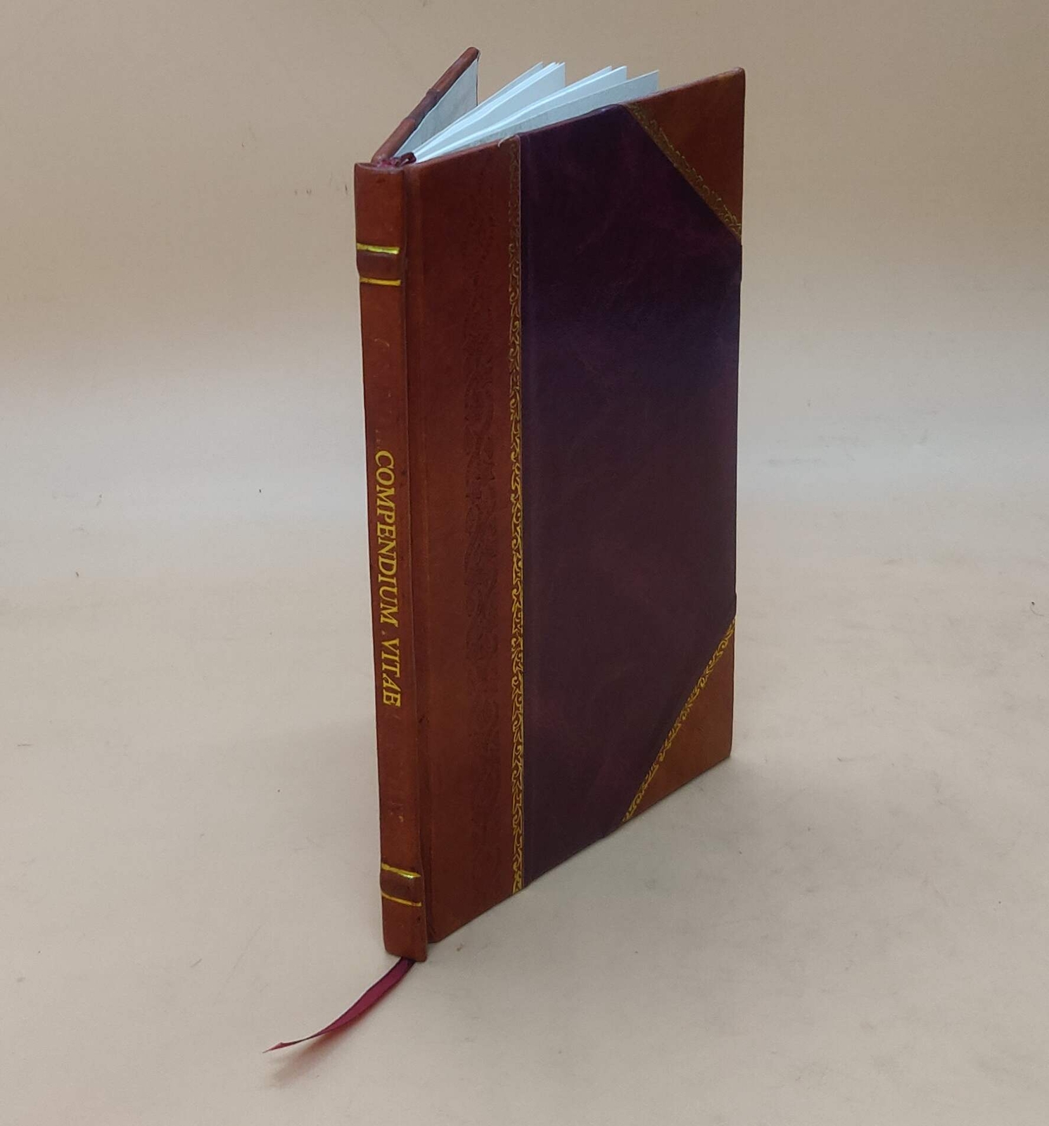 Leather Bound Compendium of Virtues, Martyrdom, Miracles, and Acts