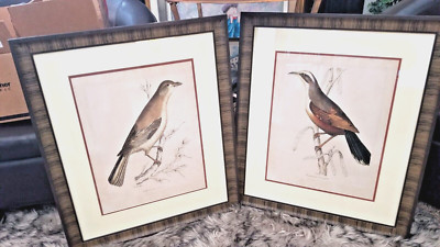 Bird Prints, Sir William Jardine, Scottish Ornithologist, Ready to Hang Set / 2.