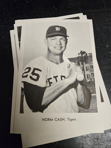 Paquete de 12 fotos del equipo de los Tigres de Detroit 1968 conjunto de fotos en blanco y negro Kaline Mathews WS Champs - Imagen 8 de 14