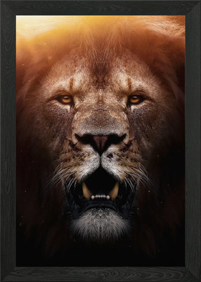 König der Löwen Episches Gesicht Poster Gerahmtes Wandbild Poster Leinwanddruck Bild