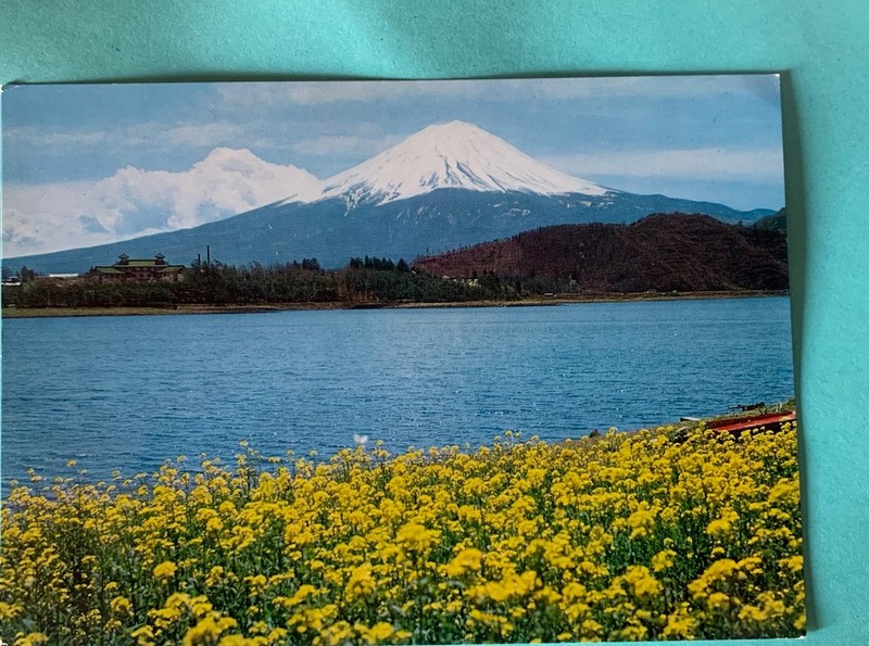 Vintage Mt Fuji Lake Kawaguchi Cherry Blossoms Clean Postcard Japan