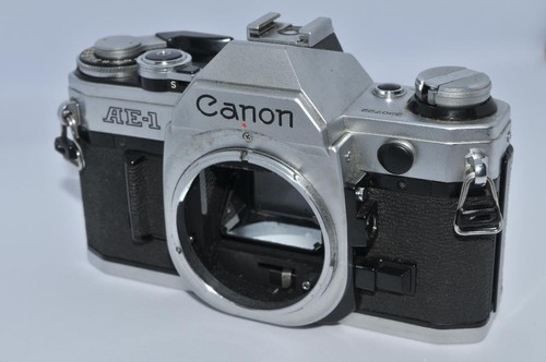MINT] Canon Date Back A w/Case Box for AE-1 Program A-1 From JAPAN