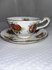 Vintage Teacup & Saucer Royal Chelsea Fruit Pattern Bone China England