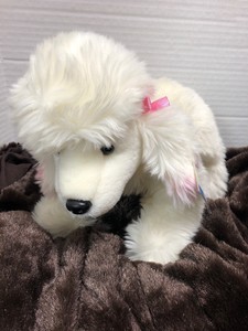 white poodle stuffed animal