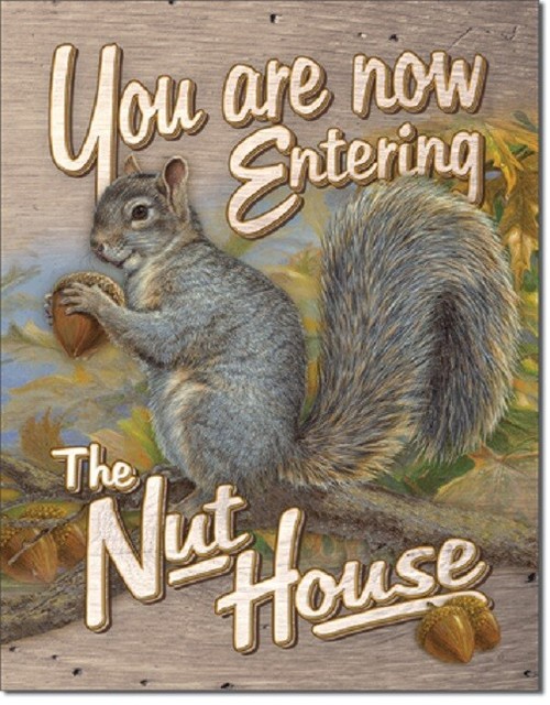 You Are Entering The Nut House Humor Funny Cabin Kitchen Wall Decor Metal Sign eBay