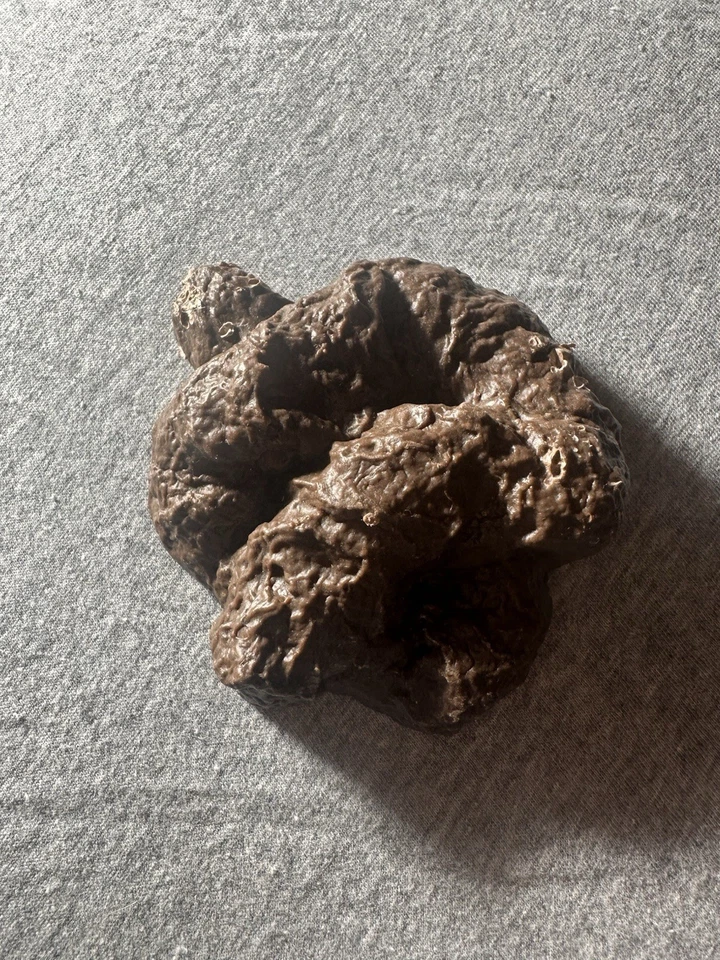 Geocaching Survivor Dry Box With Tokens, Fake Rock Container And Poop Container - Image 2 of 4