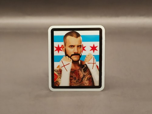 CM Punk Vinyl Sticker Best In The World Cult Of Personality Wrestler Decal - Picture 23 of 26