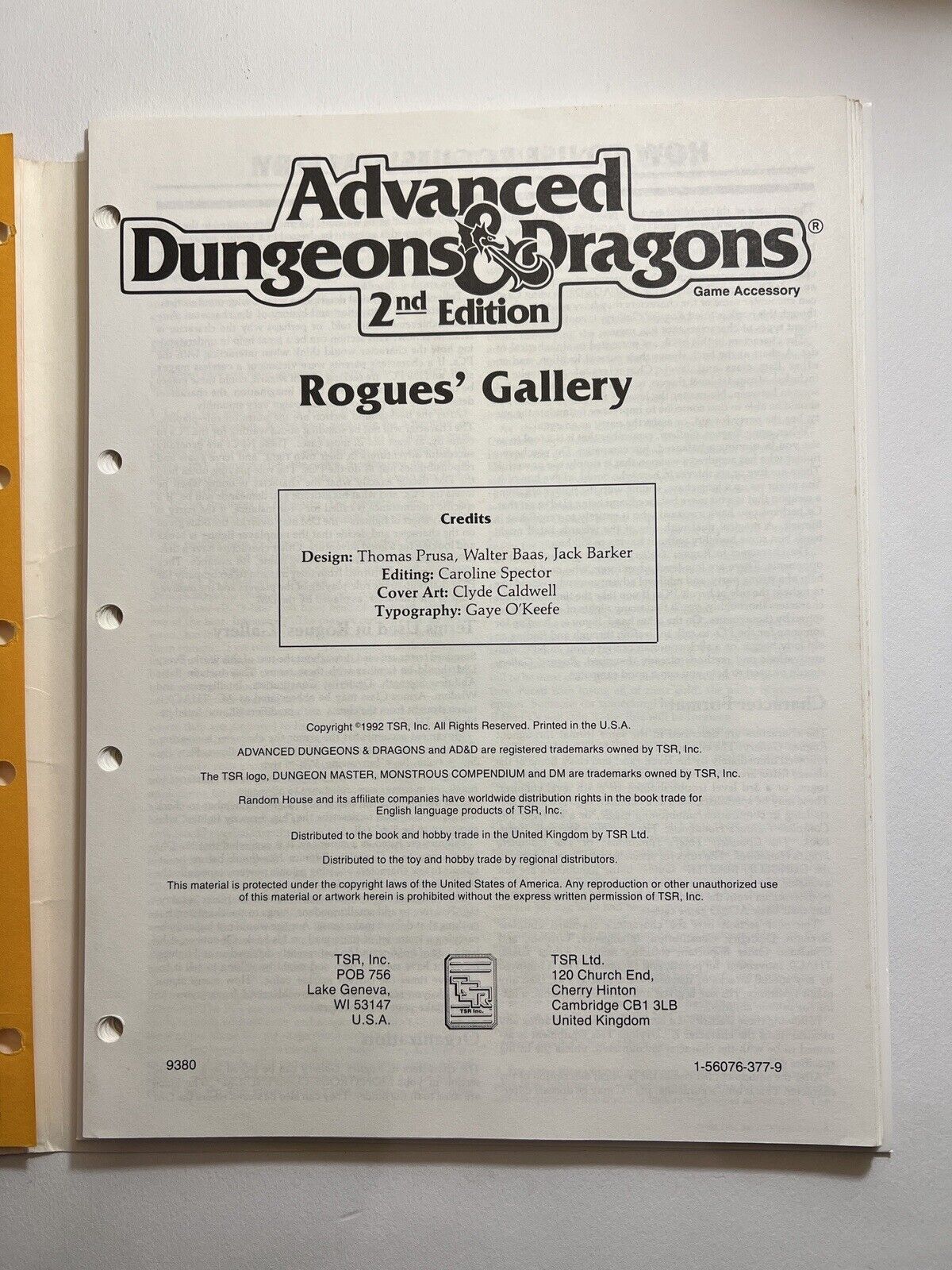 The Rogues Gallery (1e) - Wizards of the Coast, Accessories