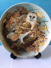 Barn Owl - Coalport Plate - By Michael Sawdust
