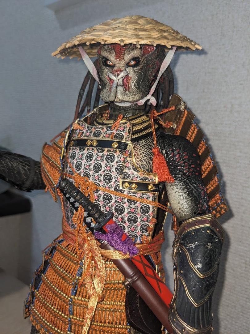 サムライ・プレデター カスタム ホットトイズ バーサーカー 1/6スケール Samurai Predator Custom Hot Toys Berserker 1 6 Scale | eBay