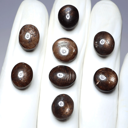 Sri Lankan 8 PC Natural Star Sapphire 11.6mm-12.8mm Untreated Cabochon Gemstones - Picture 8 of 11