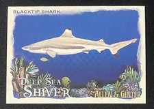 2021 Topps Allen & Ginter #DSS-4 Tiger Shark Deep Sea Shiver