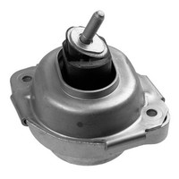 LemfÖRder 36325 01 Lagerung, Motor