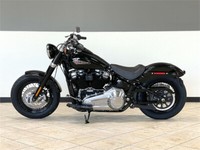2021 Harley-Davidson