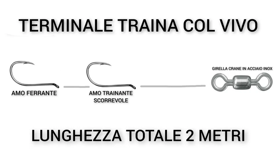 TERMINALE TRAINA COL VIVO PERSONALIZZATO 2 AMI SCORREVOLE PESCA DENTICI RICCIOLE - Immagine 3 di 4