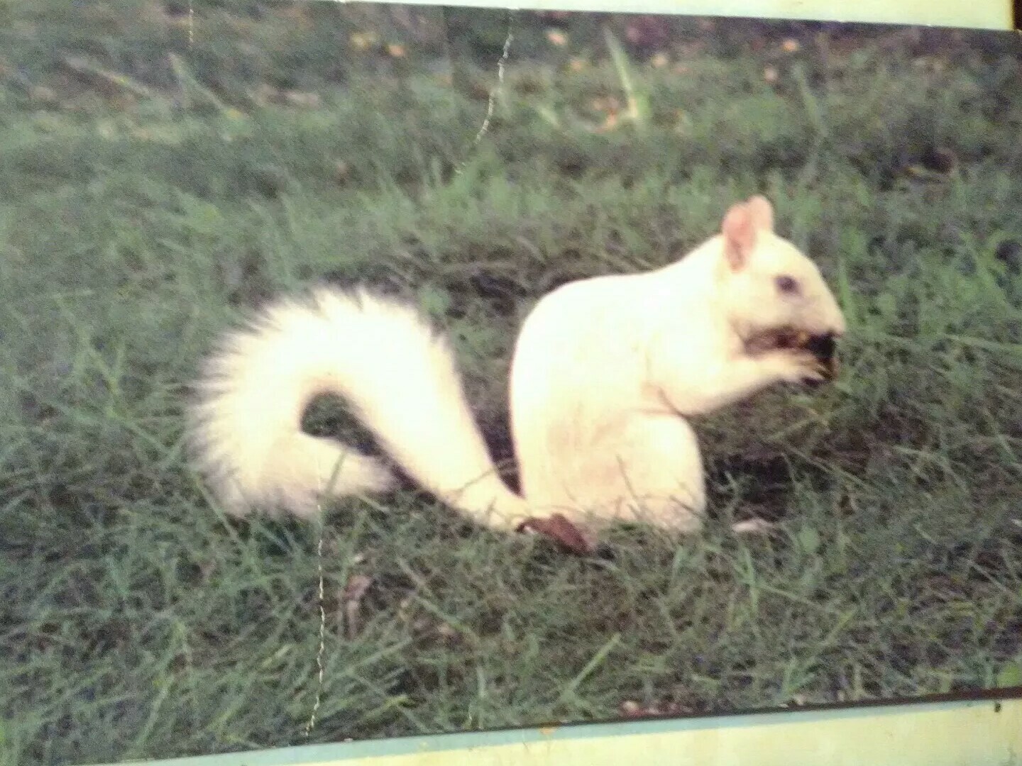 Picture 3 of 12