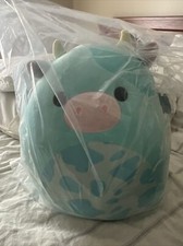 tuluck squishmallow 16