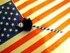 MAGA BALL POINT PEN RED WHITE BLUE JINGLE BELL FREEDOM MAKE WRITING GREAT AGAIN — photo 6