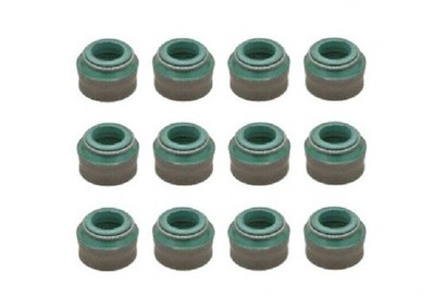 Ford Capri 3,0 Essex Granada TVR 3000M 3000S 12 Ventilschaftdichtungen neu