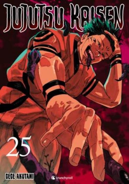 Jujutsu Kaisen - Band 25 Gege Akutami