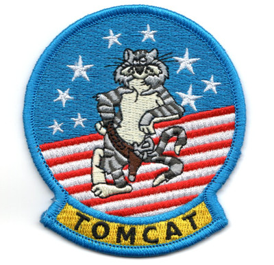 3.5'' NAVY F-14D TOMCAT EMBROIDERED PATCH
