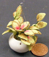1:12 Plant In A Hanging Basket Dolls House Miniature Garden Flower Accessory 631 1:12 Plant In A Hanging Basket Dolls House Miniature Garden Flower Accessory 631