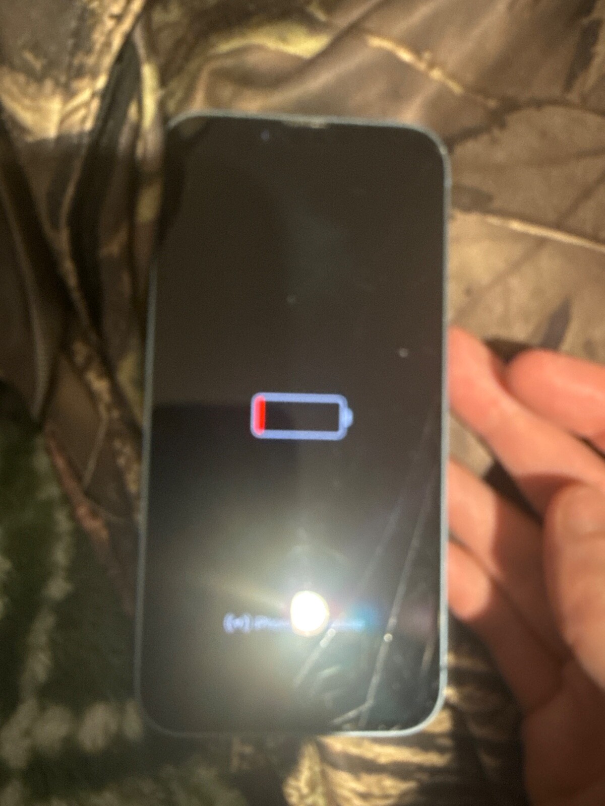 Apple iPhone 11 - 64 GB - Green (Unlocked)