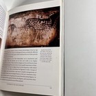 Foto 11 di 16