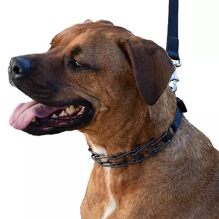 Herm Sprenger UltraPlus Dog Prong Collar eBay