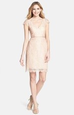 JENNY YOO Bridgitte Cap Sleeve Lace Sheath Dress Sz  8 Blush