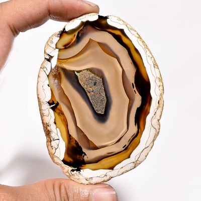 100% Natural Montana Agate Slice Fancy Loose Gemstone 233.30Cts. 58X79X6mm BC-66