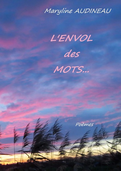 L'envol Des Mots | Et Des Maux | Maryline Audineau | Taschenbuch | FranzöSisch-image