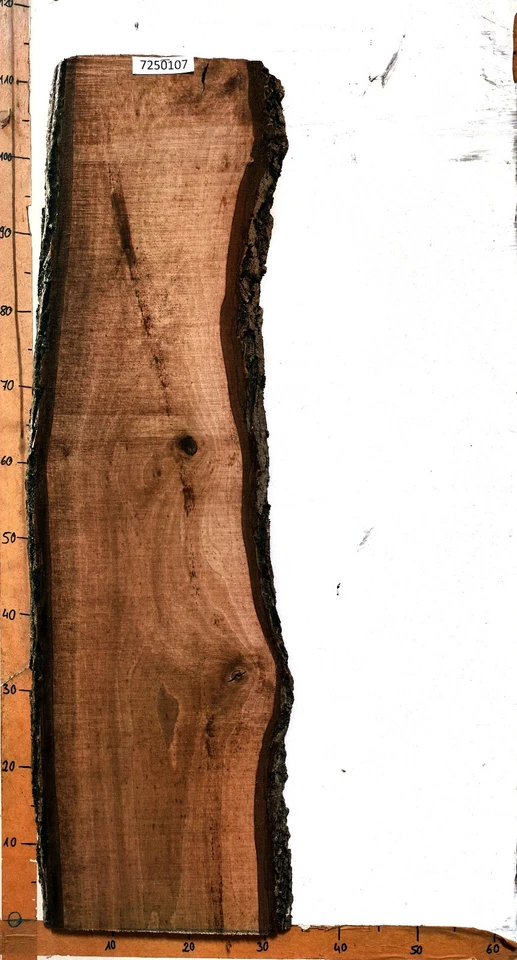 Bretter Sonderposten, Holz, Brett, Bohle, Deko, Schwartenbrett, Rinde, 2 - Bild 3 von 4