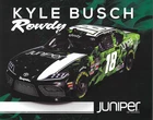 2019 KYLE BUSCH“JUNIPER” #18 NASCAR XFINITY SERIES POSTCARD