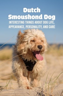 SEAN - Dutch Smoushond Dog  Interesting Things About Dog Life Appeara - X555z