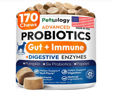 170 Dog Probiotics Chews - Digestive Enzymes  Prebiotics