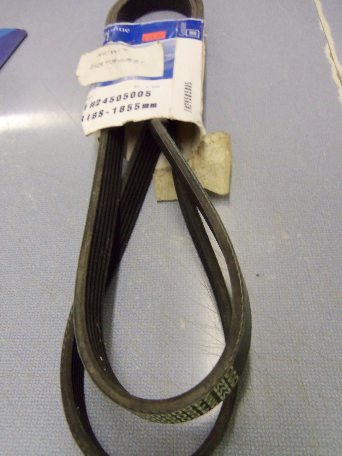 GM OEM-Serpentine Belt 88986821 24505005 FAST FREE Shipping!! | eBay