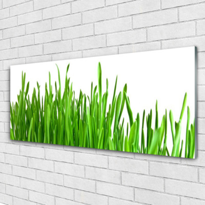 Impression sur verre Image Tableau 140x70 Floral Muguet