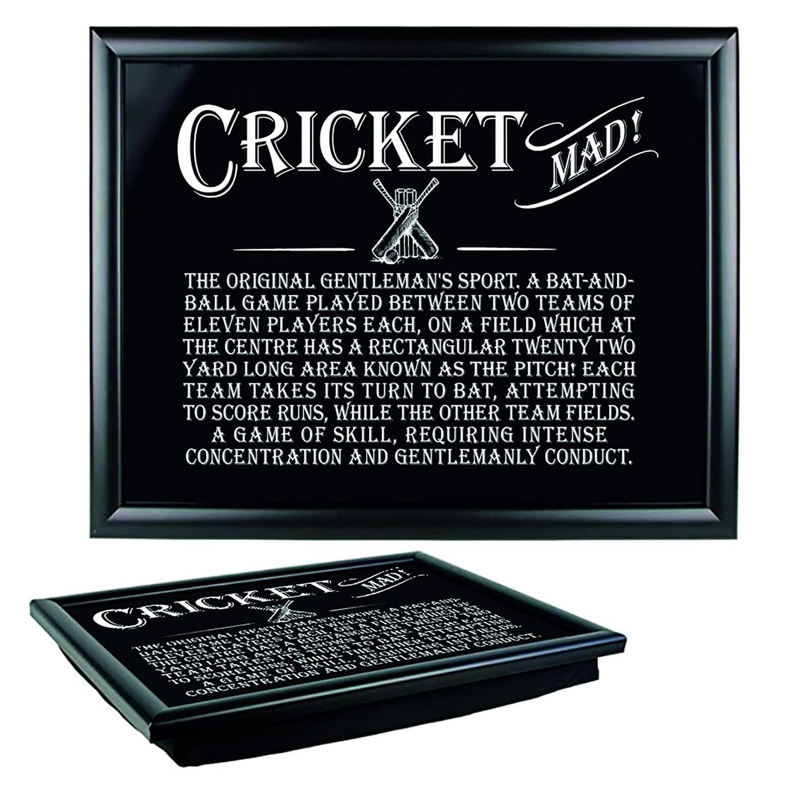 Lap Tray Cushioned Padded Bean Bag Food Rest Father's Day Sport Gift - Cricket